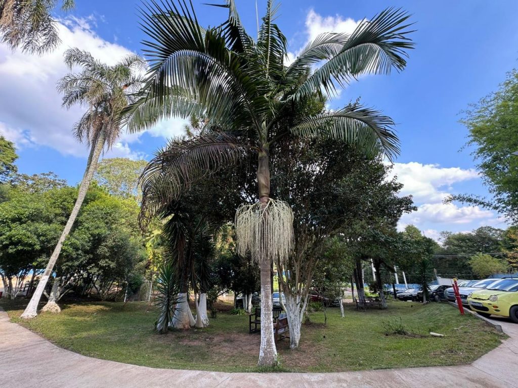 Grupo Portal Recomeço — Unidade 4